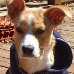 Meet your Posher, Lisa